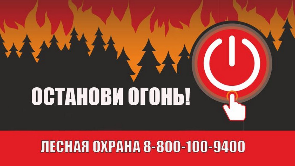 Краевая противопожарная кампания «Останови огонь!».