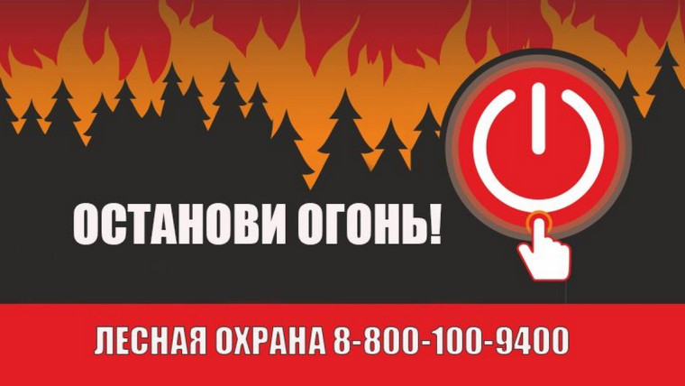 Краевая противопожарная кампания «Останови огонь!».
